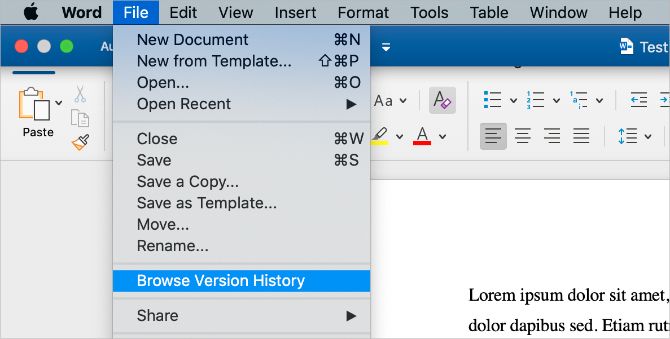 see update history on microsoft word for mac
